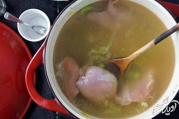 مرغ